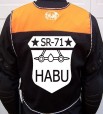 SR-71 back